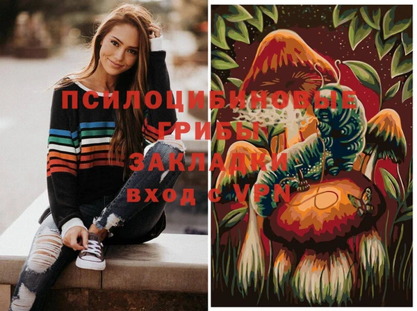 прущий лед Михайлов