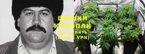 молекула духа Мегион