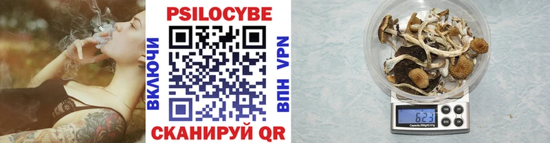 Псилоцибиновые грибы Psilocybine cubensis  Купить закладки  Кушва 